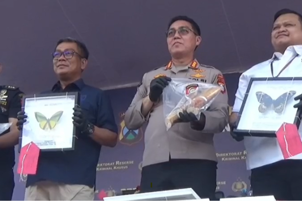 Polisi membawa barang bukti gading gajah di depan Gedung Ditreskrimsus Mapolda Jatim.