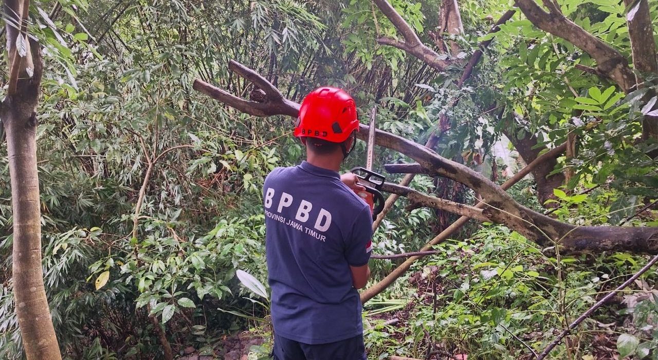Ilustrasi: Bencana angin kencang mengakibatkan pohon tumbang. (foto: Pusdalops BPBD Kab Malang)