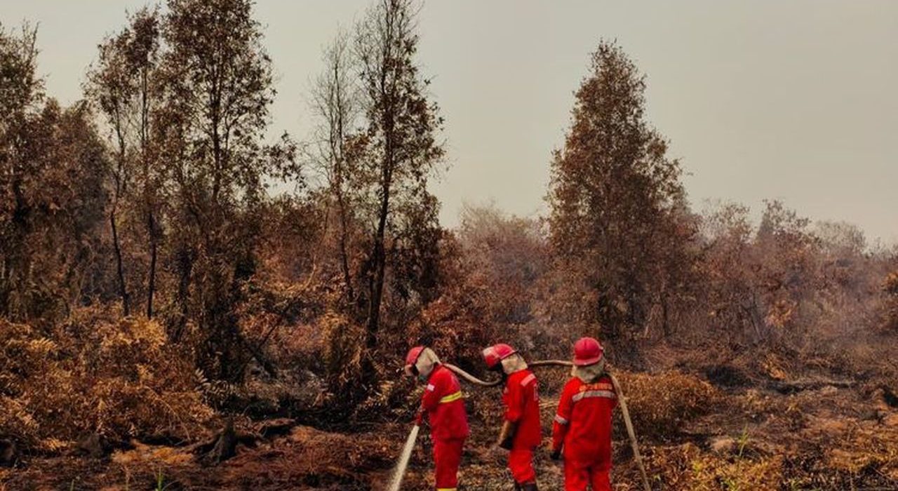 Petugas melakukan upaya pemadaman titik Karhutla di Kalimantan.