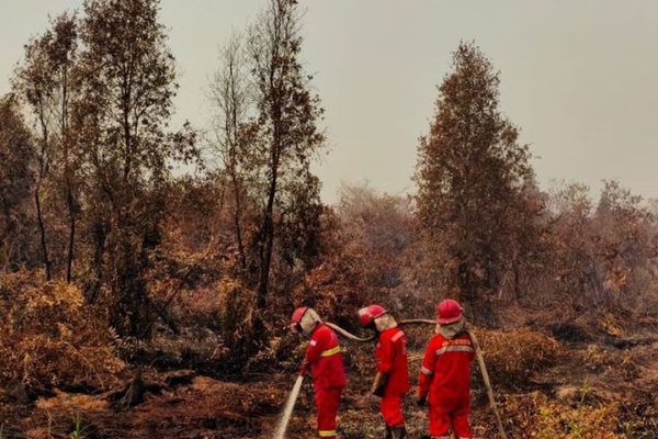 Petugas melakukan upaya pemadaman titik Karhutla di Kalimantan.