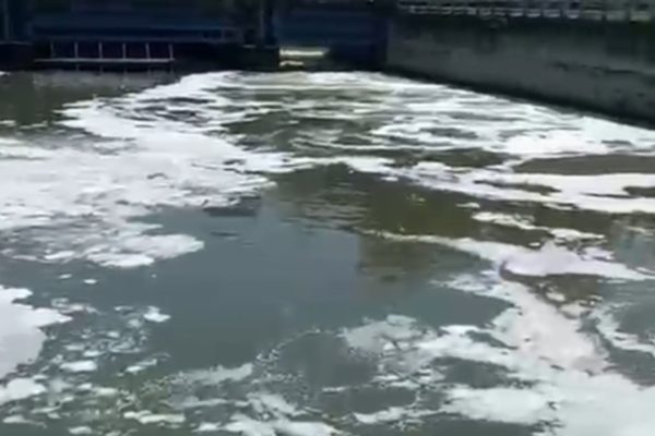 Kondisi air baku Sungai Surabaya yang menjadi sumber air IPAM Karangpilang, Kota Surabaya.