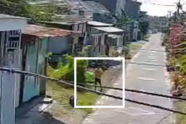 Anak berinisial K yang diduga terlibat dalam kasus penganiayaan terhadap korban, terlihat dalam rekaman CCTV saat memasuki rumah korban sebelum peristiwa terjadi.