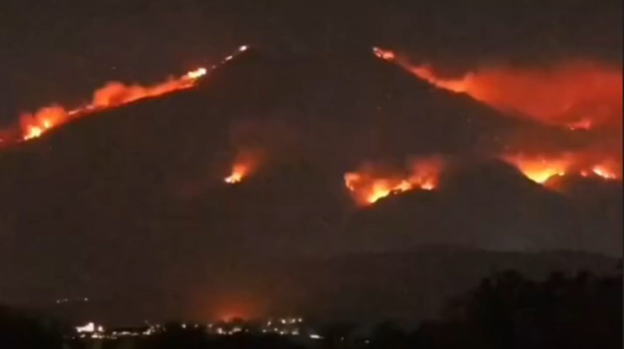 Penampakan kebakaran hutan dan lahan di Gunung Arjuno dari wilayah Kabupaten Pasuruan.
