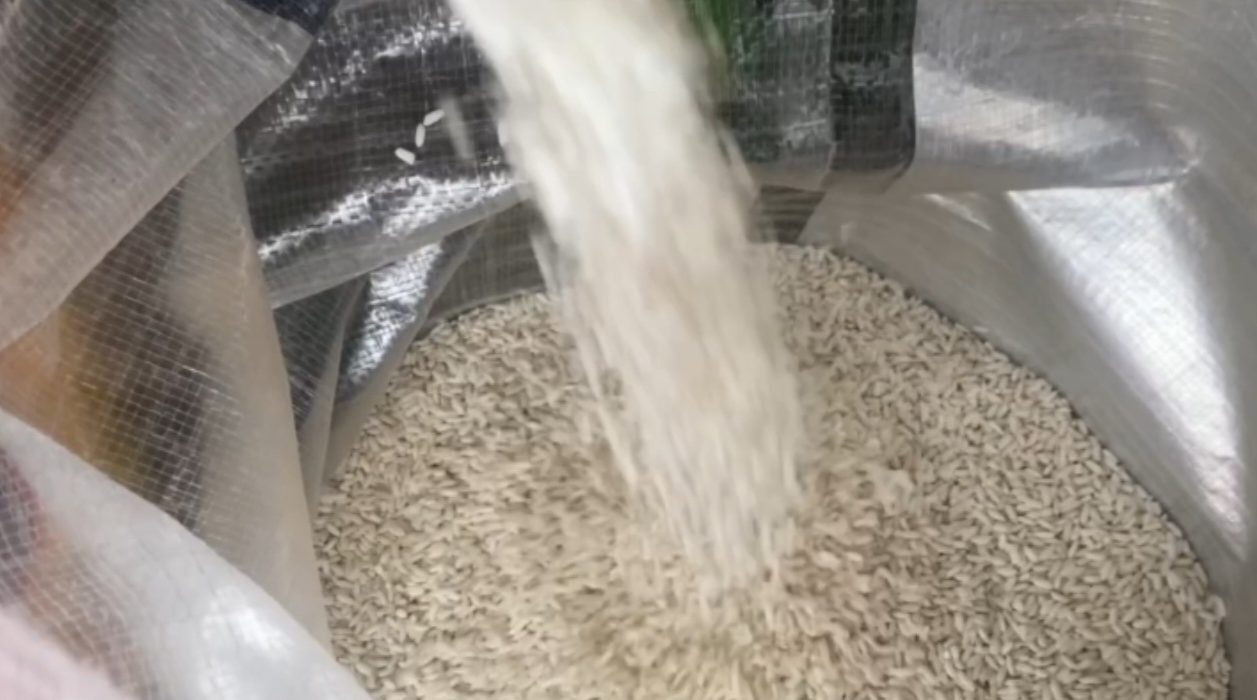 Pedagang menuangkan beras medium di Pasar Tembok, Surabaya.